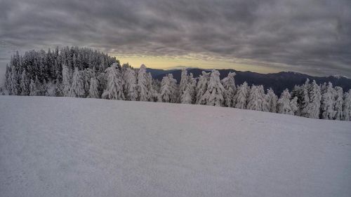 Dopo Una Bella Nevicata